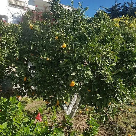 Homestay La Colina Malaga